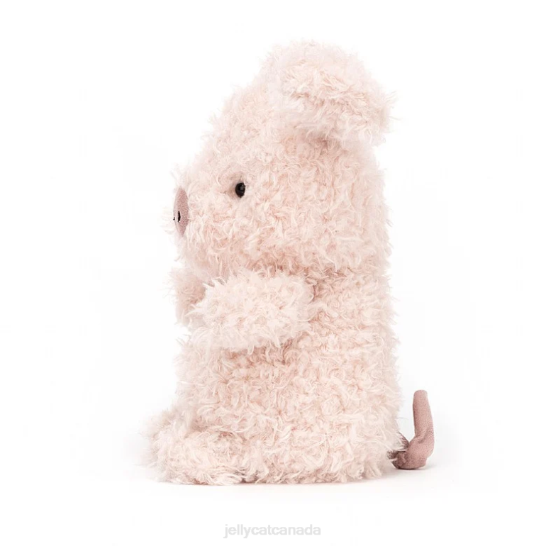 Jellycat Little Lamb Cream BV0TH637 Toy [BV0TH637] : Jellycat Canada ...